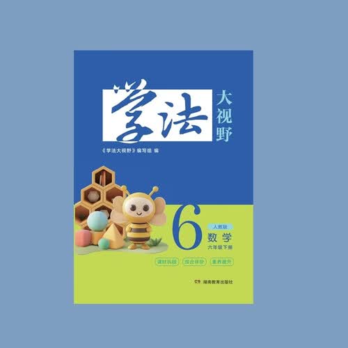 学法大视野 数学六年级下册（人教版）封面