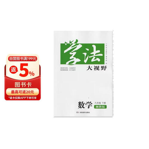学法大视野·数学九年级下册（湘教版）封面