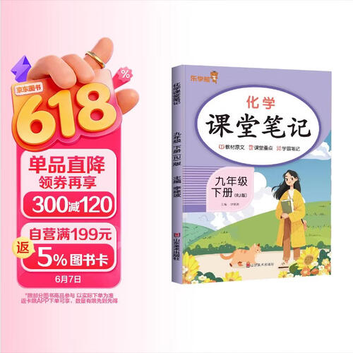 初中课堂笔记九年级化学下册人教版 初三九年级课本教材同步讲解 教材解读 黄冈随堂笔记 实验班拔尖特训必刷题天天练 乐学熊封面