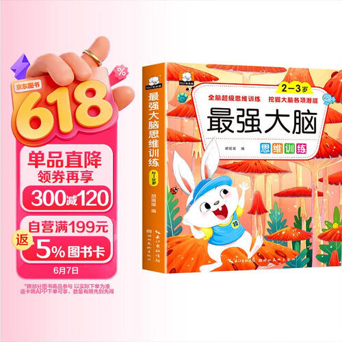 2-3岁儿童左右大脑开发 全脑思维训练大脑潜能开发游戏书 专注力思维力观察力训练 二三岁宝宝益智书籍封面