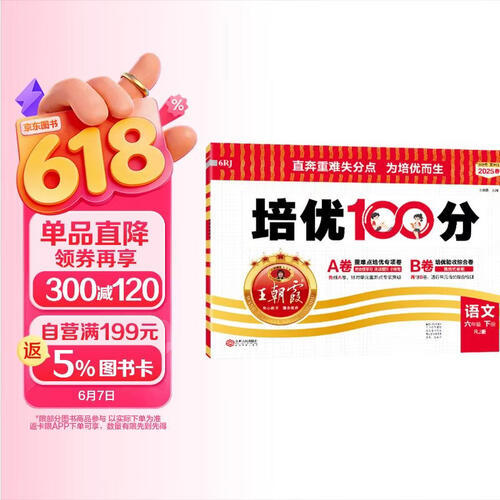 2025春王朝霞培优100分六年级语文下册人教版 小学同步试卷AB卷小学单元测试专项期中期末考试卷重难点培优测试卷 名师教你期末冲刺100分卷 王朝霞封面