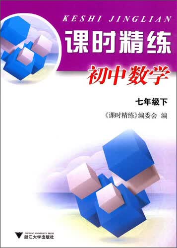 课时精练初中数学7年级.下封面