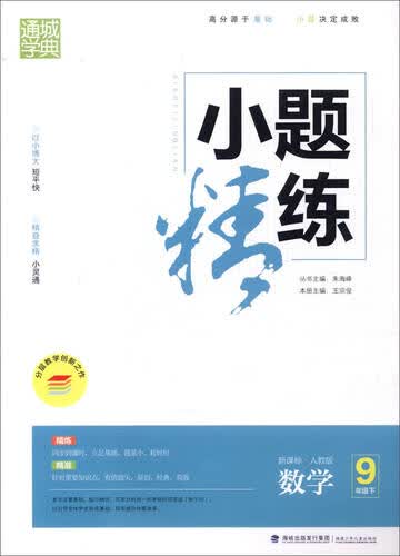 通城学典 小题精练：数学（九年级下 新课标 人教版）封面