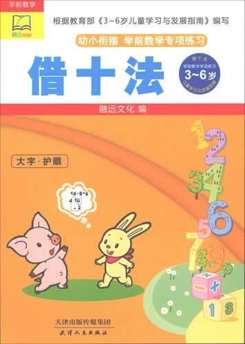 借十法/幼小衔接学前数学专项练习封面