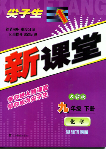 2015春尖子生新课堂：九年级化学下（人教）封面