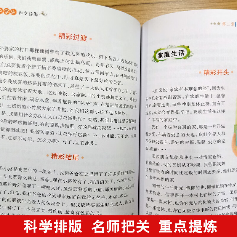 中学生作文辞海/集思维导图形象记忆图趣味漫画为一体的新概念作文辅导书详情图