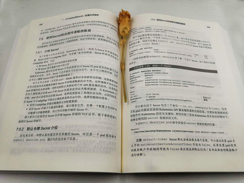 Kubernetes in Action中文版(博文视点出品)