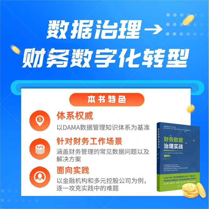 财务数据治理实战详情图