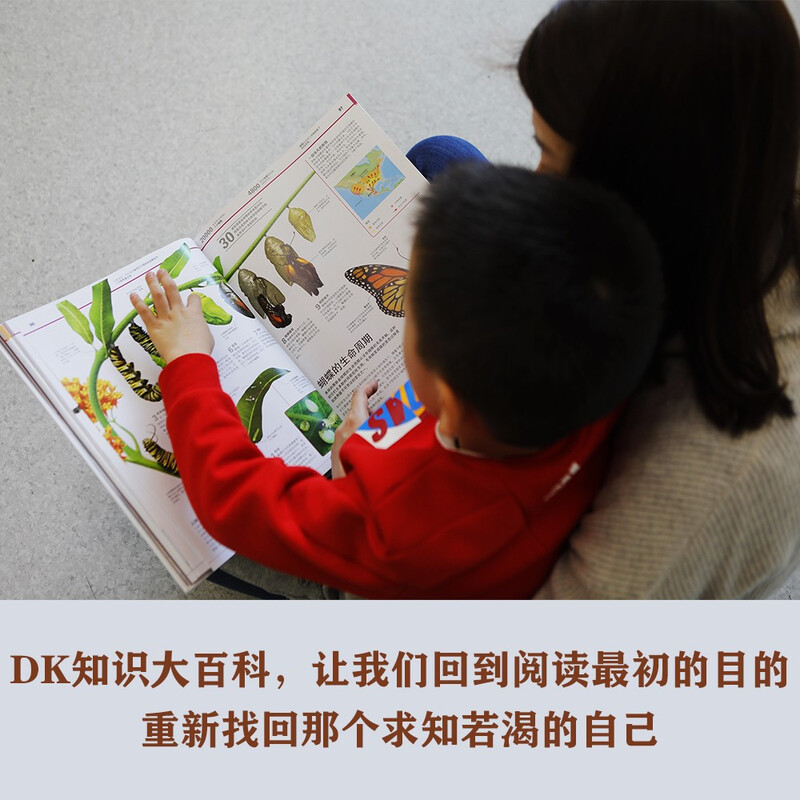 DK知识大百科 精装典藏版 儿童通用百科全书 6-14岁课外阅读 涵盖天文地理动物科学 一站式知识宝库详情图