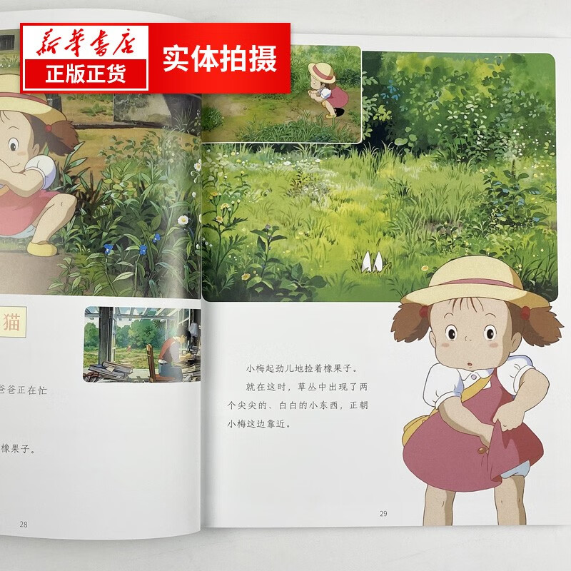宫崎骏漫画书全套 动漫绘本系列 哈尔的移动城堡+你想活出怎样的人生 龙猫 千与千寻 崖上的波妞 天空之城 起风了 正版书籍宫崎骏电影画集绘本无...