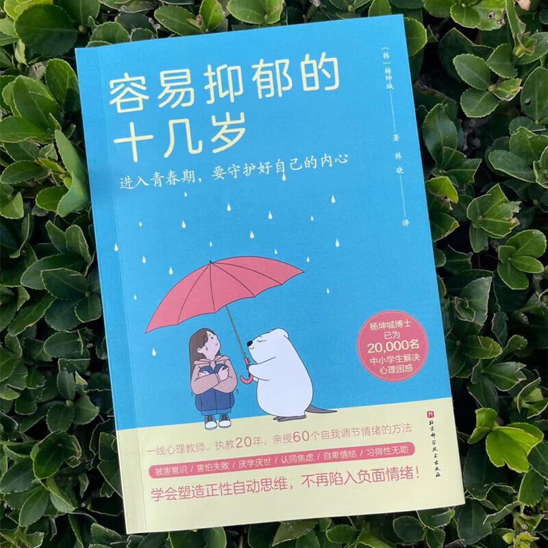 容易抑郁的十几岁 抑郁 不安 暴躁 青春期 心理学 自卑 厌学 休学 精神内耗 北京科学技术详情图