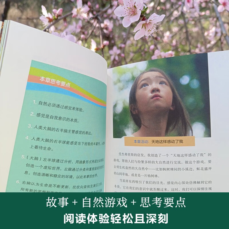 心流学习法：在深度自然游戏中，唤醒身心潜能    自然教育之父约瑟夫里程碑力作详情图