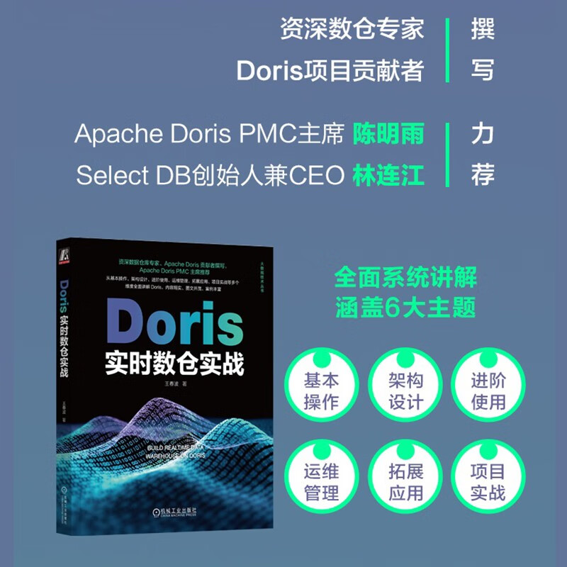 Doris实时数仓实战详情图