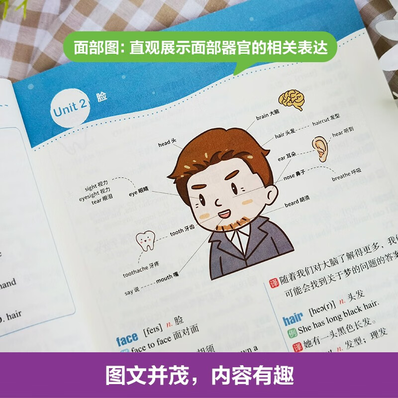 思维导图. 全彩图解初中英语词汇（赠名师配套视频讲解课）详情图