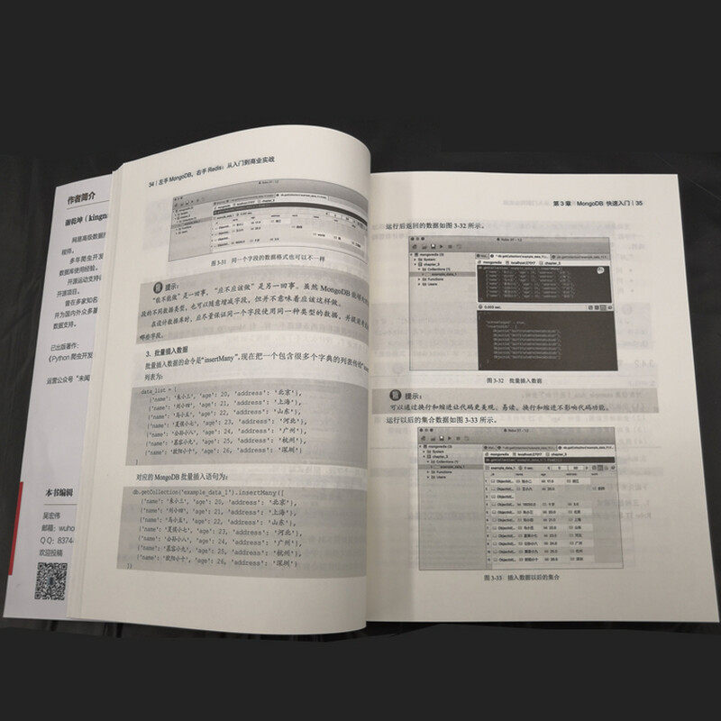 左手MongoDB，右手Redis――从入门到商业实战(博文视点出品)详情图