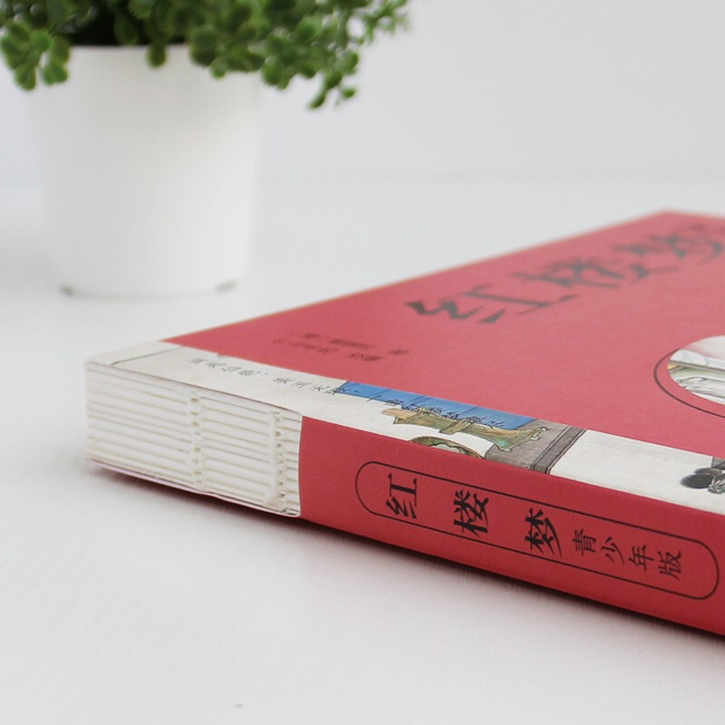 红楼梦 四大名著（附赠彩绘大页思维导图  白话文改编，清孙温工笔彩插， 疑难字注音注释）原著正版京东自营 高中生版 小说