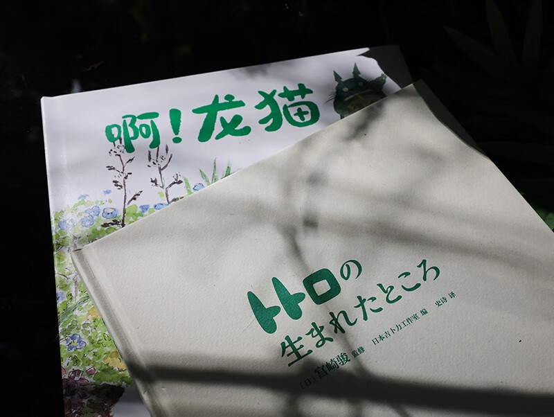 宫崎骏：啊！龙猫（宫崎骏 宫崎夫人首度合体创作 17幅原画初稿 79幅手绘日记）详情图