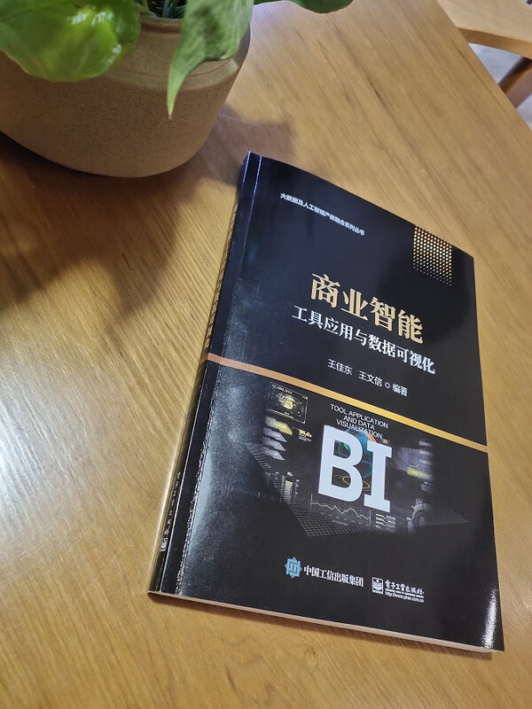 商业智能工具应用与数据可视化详情图