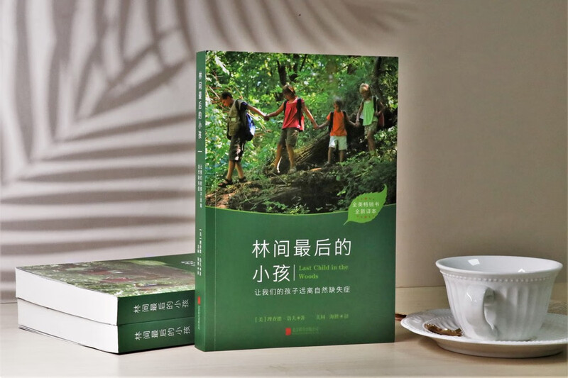 林间最后的小孩详情图