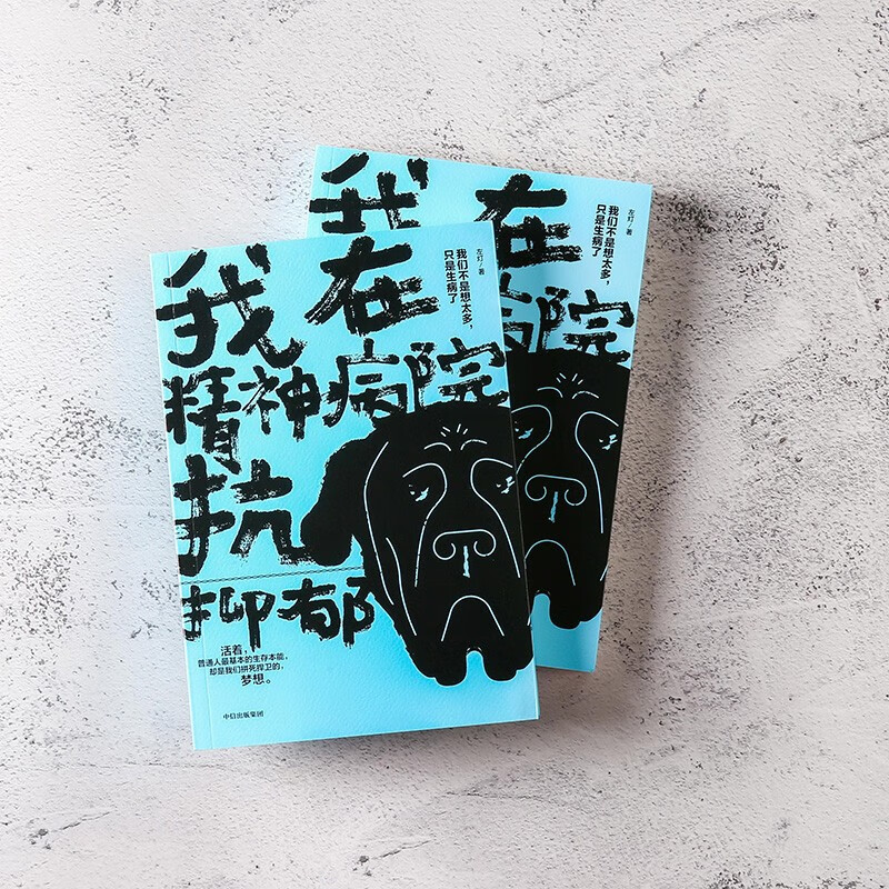 新版 我在精神病院抗抑郁 左灯 精神 抗郁 心理 情绪 长安十二时辰演员热依扎微博倾情推荐 抑郁症版天才在左疯子在右心理分析 中信出版社图书