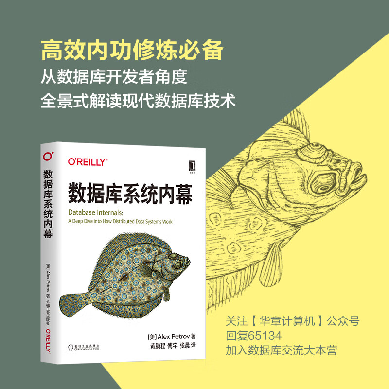 数据库系统内幕详情图
