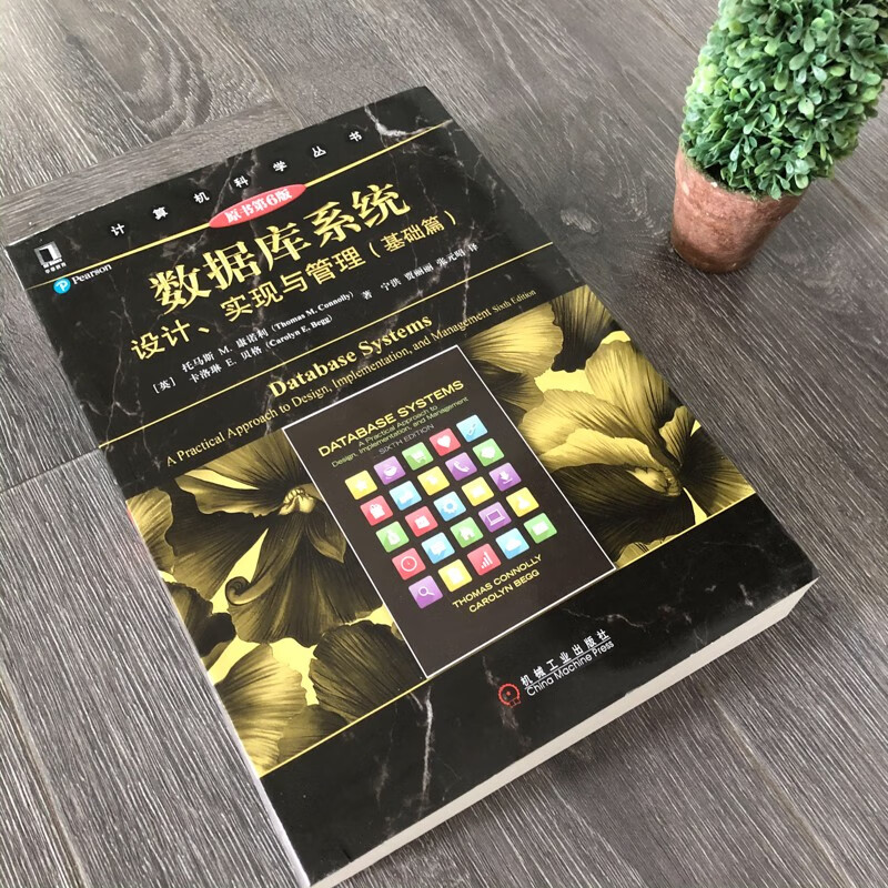 数据库系统 设计实现与管理 基础篇 原书第6版 托马斯著 计算机科学丛书 数据库专业技术人员参考书籍 大学本科考研教材 数据库系统与数据库设计的基础知识 机械工业出版社
