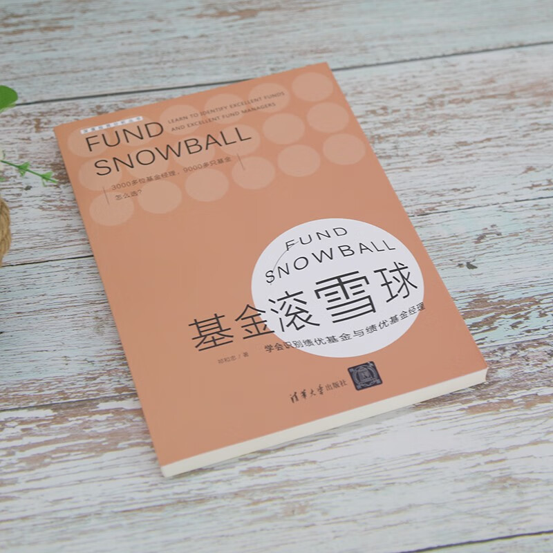 基金滚雪球——学会识别绩优基金与绩优基金经理详情图