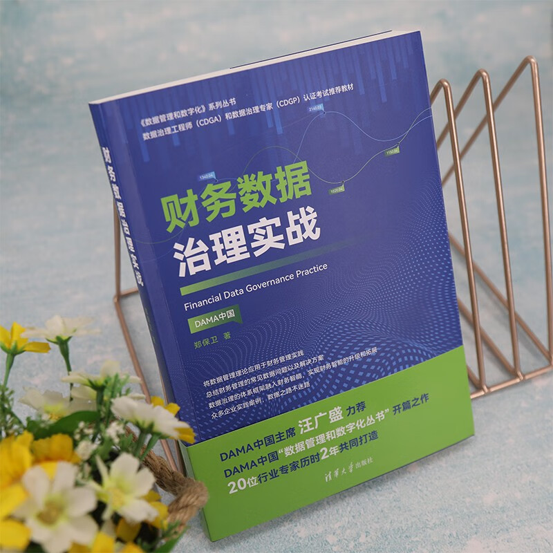 财务数据治理实战详情图