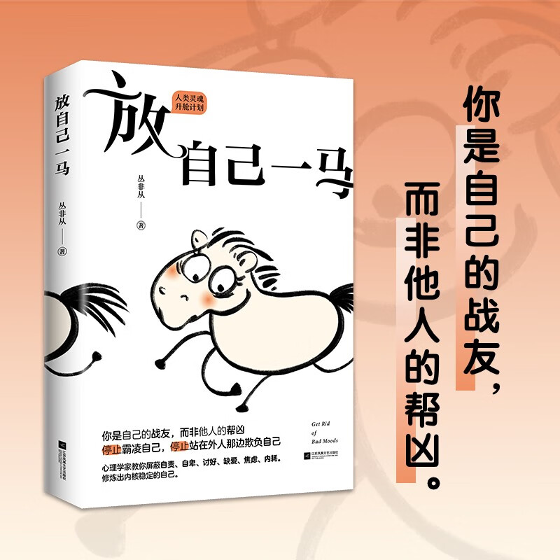 放自己一马 丛非从教你停止霸凌自己,停止站在外人那边欺负自己 京东专享当头棒喝书签 作者印签版 心理学详情图