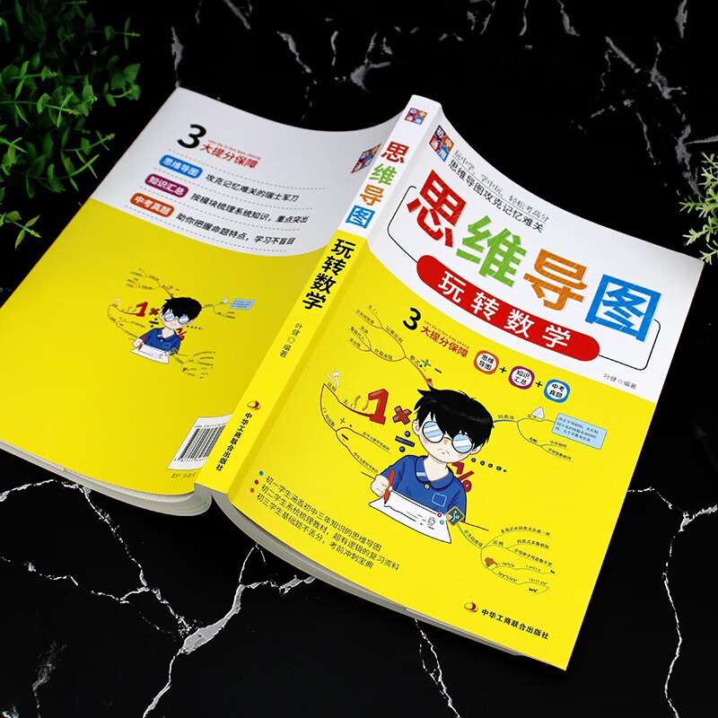 思维导图玩转数学详情图