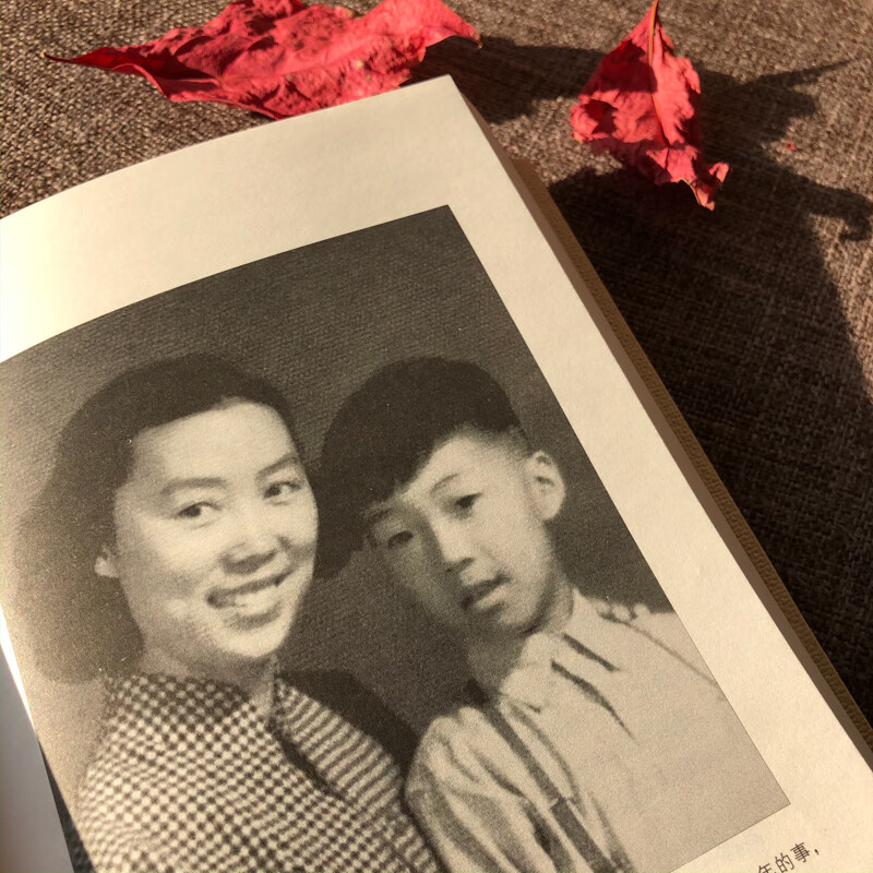 我与地坛（2018修订版）史铁生 散文集代表作 现当代文学随笔 中国现当代文学 随笔小说 畅销书 我在岛屿读书节目推荐