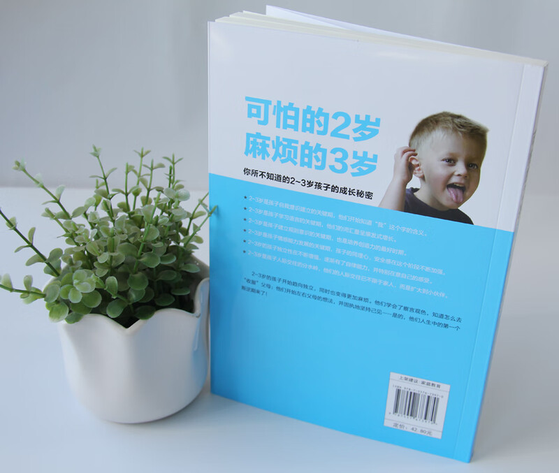 可怕的2岁麻烦的3岁 家庭幼儿教育 正确引导孩子健康快乐成长 父母育儿的成长守则 2至3岁孩子正确育儿教育书籍 幼妈育儿教育书籍详情图