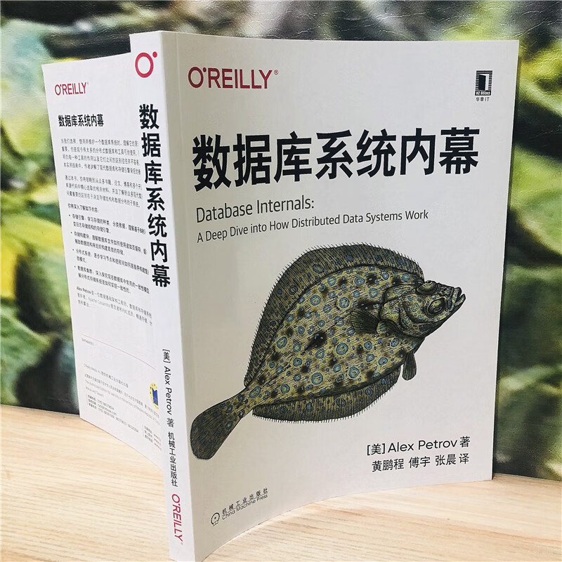 数据库系统内幕详情图