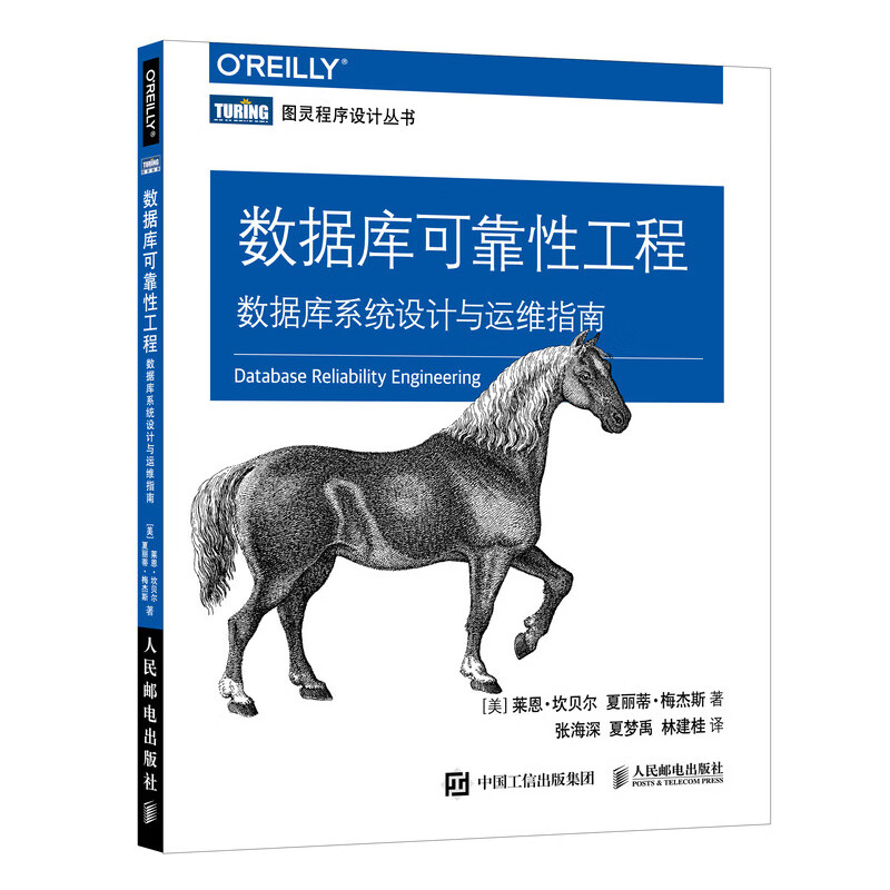 数据库可靠性工程 数据库系统设计与运维指南（图灵出品）详情图