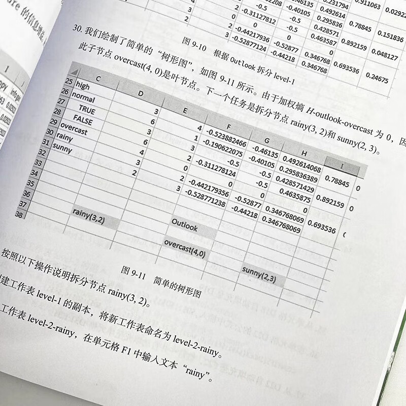 Excel机器学习（图灵出品） deepseek教程