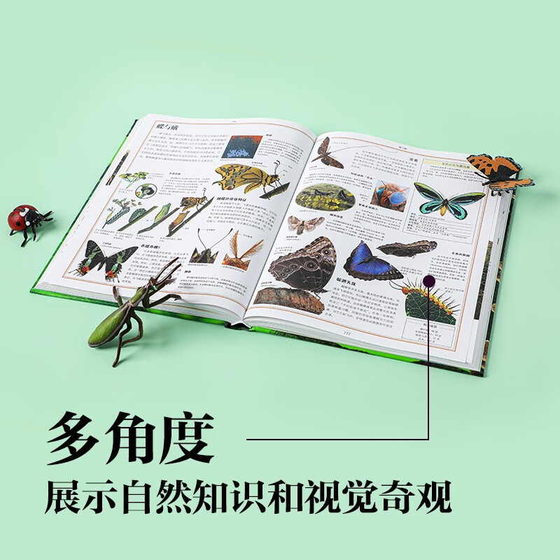 DK儿童自然大百科详情图