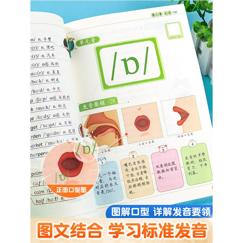 斗半匠 英语音标学习神器 音标记单词思维导图 小学三年级四年级英语词汇 小学通用英语单词1500词 英语音标记单词详情图