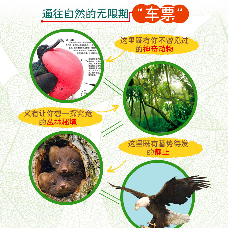 DK儿童自然百科（探索百科、探秘百科）（2册）7-10岁详情图