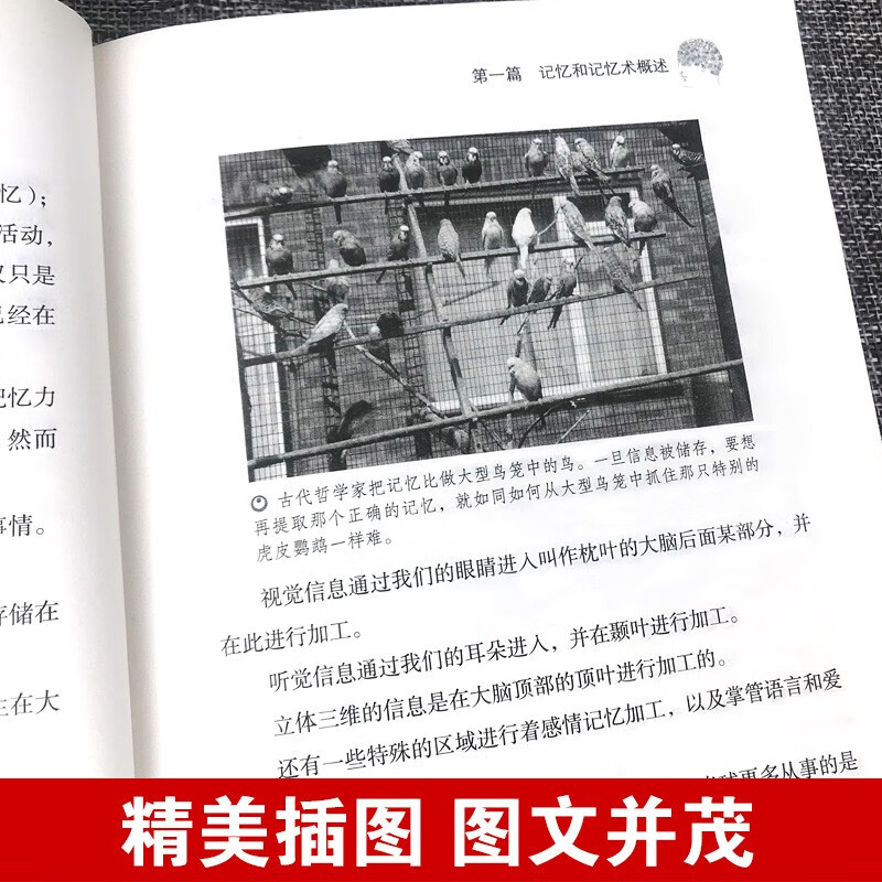 【认准正版】全5册思维导图+ 超级记忆术+最强大脑+思维风暴教逆转思维提升记忆快速提高左右脑思维书 全套5详情图