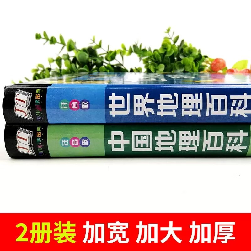 全2册精装注音版 世界地理百科+中国地理百科 中国地理百科旅游自然科普类知识环球国家地理书籍详情图