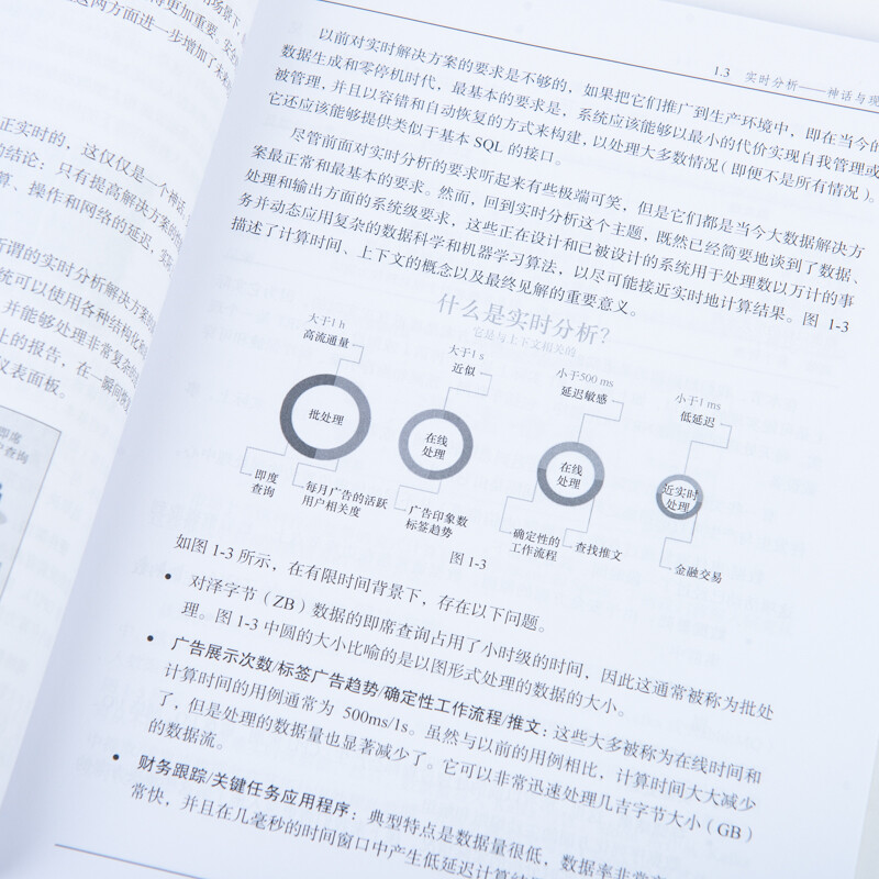 实时数据处理和分析指南(异步图书出品)详情图