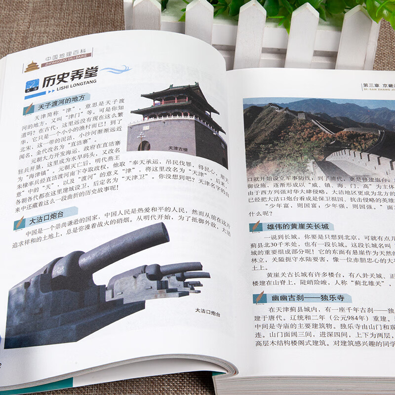 世界地理百科+中国地理百科（2册）6-12岁小学生课外阅读 少儿科普百科地理百科系列  学习改变未来书系详情图