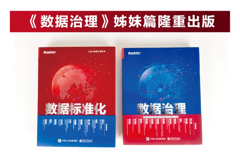 数据标准化：企业数据治理的基石(博文视点出品)