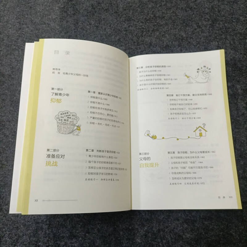 拥抱抑郁小孩：15个练习带青少年走出抑郁（15个互动练习 一套资深心理咨询师给家长的青少年抑郁应对方案 帮家长“接住”孩子的情绪 应对压力、抑郁、焦虑 祝卓宏、赵旭东、壹心理、渡过联合推荐）