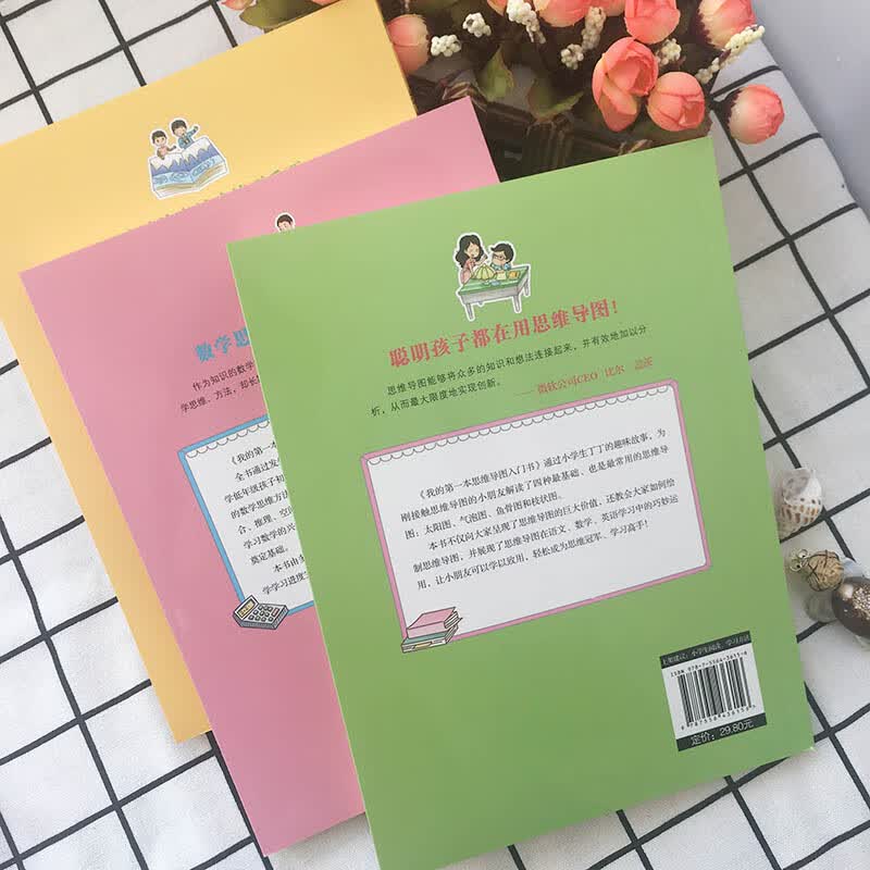 我的第一本思维导图入门书(套装)详情图