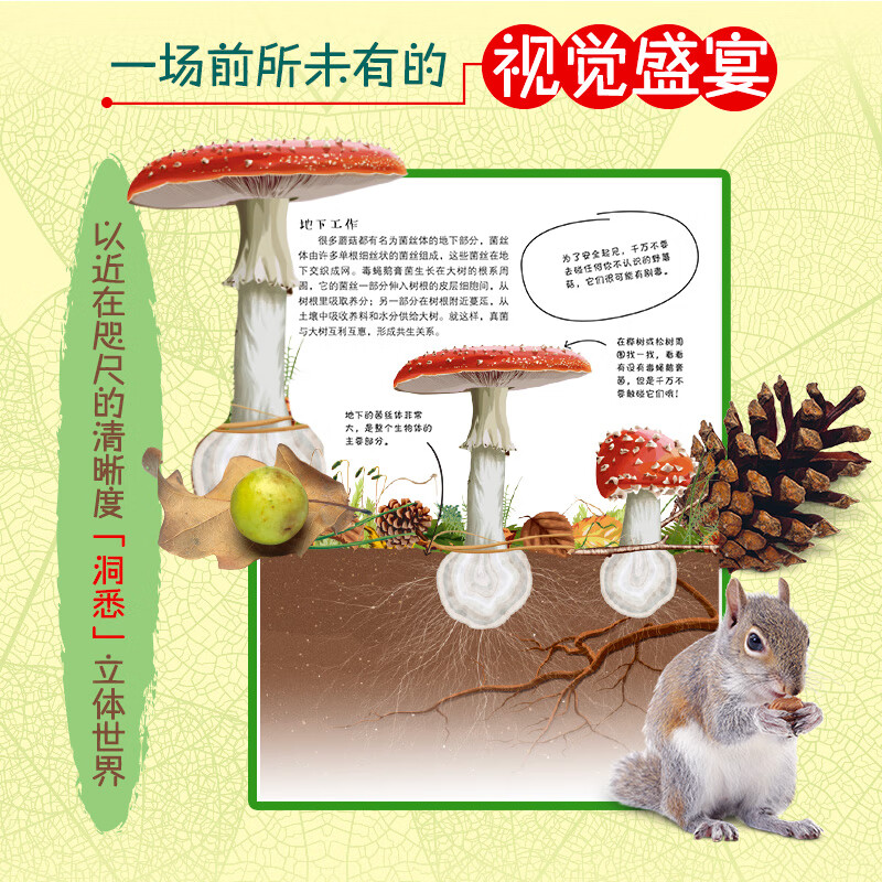 DK儿童自然百科（探索百科、探秘百科）（2册）7-10岁详情图