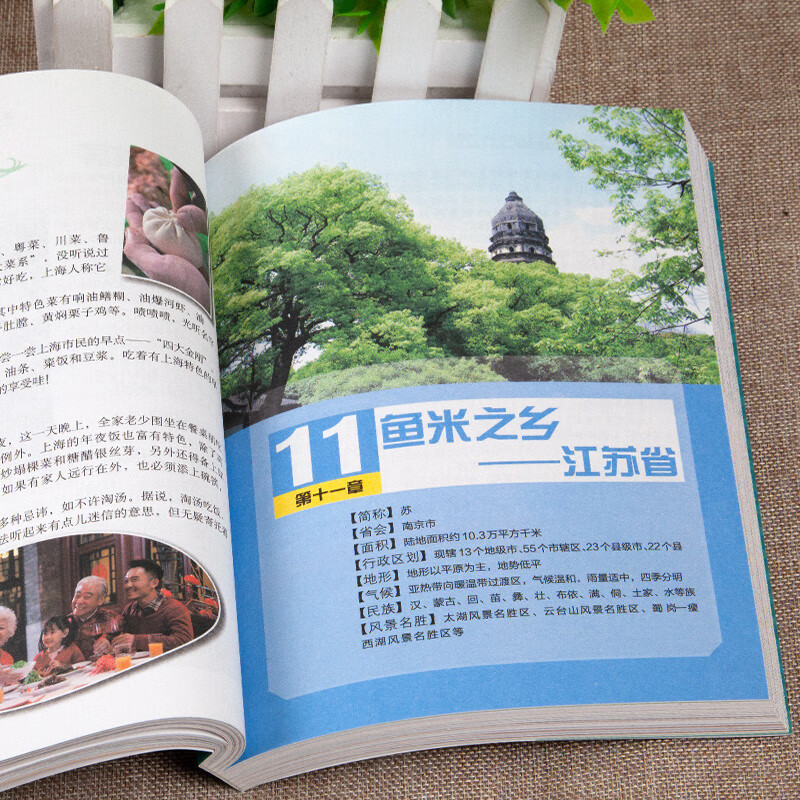 世界地理百科+中国地理百科（2册）6-12岁小学生课外阅读 少儿科普百科地理百科系列  学习改变未来书系详情图