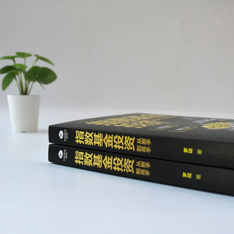 基金投资理财书籍 指数基金投资从新手到高手理财指南 股票 经济学理论定投指数基金解读基金定投入门详情图