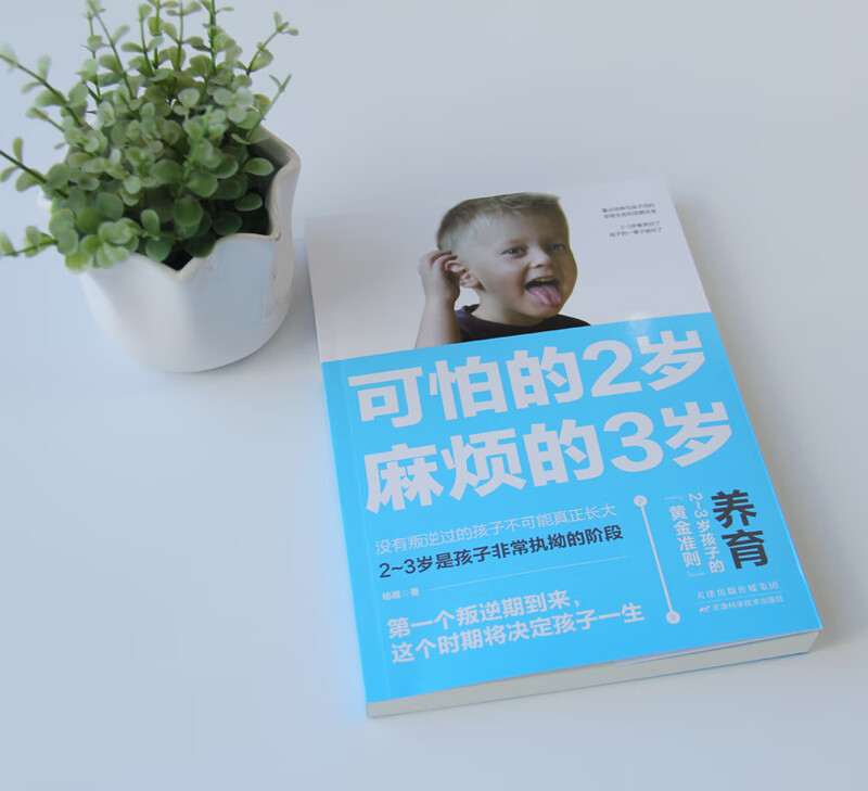 可怕的2岁麻烦的3岁 家庭幼儿教育 正确引导孩子健康快乐成长 父母育儿的成长守则 2至3岁孩子正确育儿教育书籍 幼妈育儿教育书籍详情图