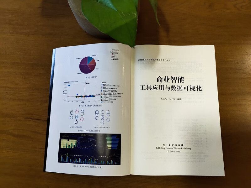 商业智能工具应用与数据可视化详情图